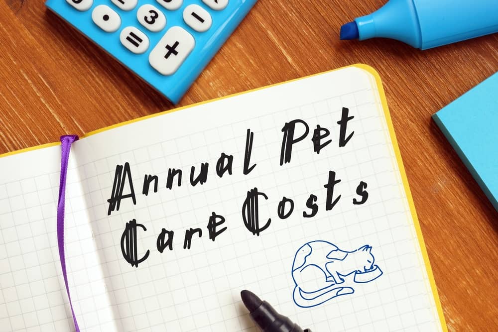 Pet Care Costs